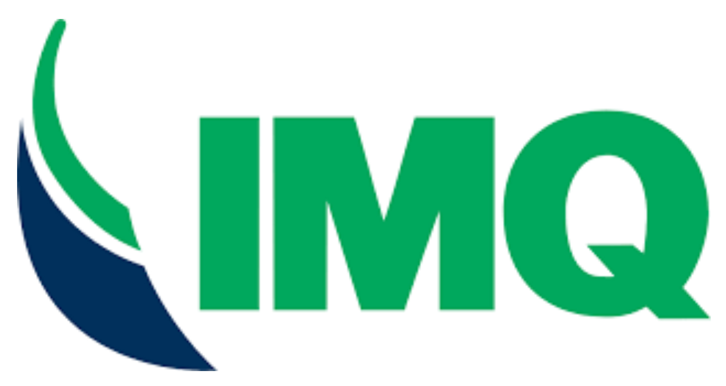 logo-IMQ